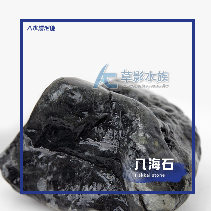 AC草影水族Mobile