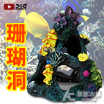珊瑚樹洞（15cm）