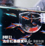迷你波卡 紅蟲餵食杯（透明壓克力）