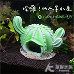 海綿寶寶 仙人掌屋