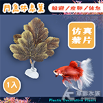 鬥魚休息室（咖啡黃）