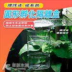 懸浮式 圓形孵化隔離盒（延長款）