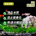 B.L 樂融融 淨水硝化菌（綠/500ml）