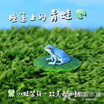 睡蓮上的青蛙（4入）