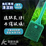 魚缸專用清潔刷（40cm）綠色
