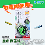 SUDO 稻田魚產卵綠藻球