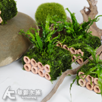 方形 陶瓷環造景蝦屋 8孔
