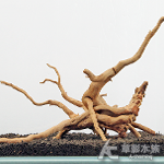金陵木 GME3-015