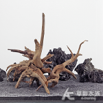 金陵木 GME3-022