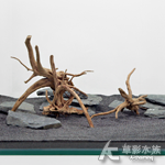 金陵木 GME3-027