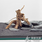金陵木 GME2-025
