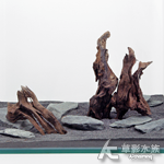 黑檀木 BLE3-001