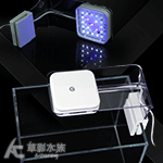OneTouch LED 智能燈水草燈（17cm）