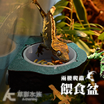兩棲爬蟲餵食盆（磁鐵式）