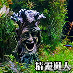 精靈樹人（22cm）