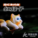 缸緣子 三貓合一