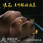 浪花 異形躲避造景（15cm）