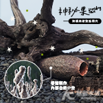 神秘果（兩顆）