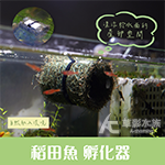 稻田魚孵化器 魚卵收集器