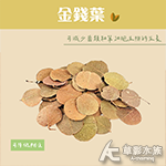 天然金錢葉（單包）