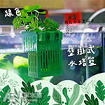 壁掛式水培籃（綠色）