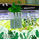 壁掛式水培籃（白色）