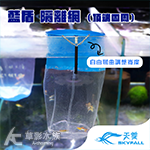 SKYFALL 天賞 藍盾 隔離網（頂端四周）