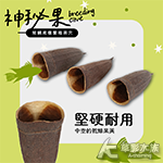大型神秘果（兩顆）