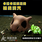 卡拉卡拉頭蓋骨 躲藏洞穴
