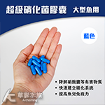 超級硝化菌膠囊（藍色/大型魚用）