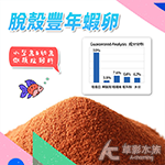 乾燥 去殼豐年蝦卵 袋裝（15g）