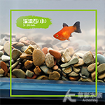 溪流石（小/100g）