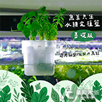 魚菜共生 水耕定植籃 基礎版