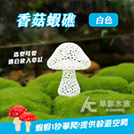香菇蝦礁（白色）