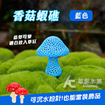 香菇蝦礁（藍色）