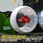 環球 鬥魚休息室（白色）