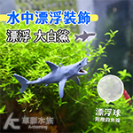 漂浮 大白鯊