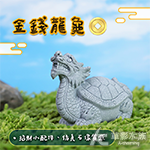 金錢龍龜 9cm