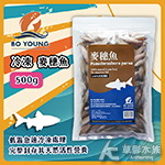 伯洋 麥穗魚 500g 冷凍