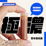 極濃豐年蝦幼蟲 5ml 冷凍