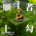 漂浮 江南大叔釣魚 竹筏