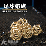 足球蝦礁