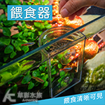 定點集合不外漏 餵食器 剖半圓形