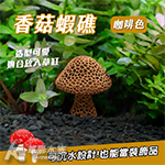 香菇蝦礁 咖啡色