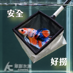 泰式黑底 不漏水手工魚網 小方 黑棍