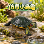 仿真巴西龜模型
